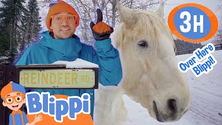 Blippi Goes To Reindeer Farm | Blippi and Meekah Best Friend Adventures | Holiday Videos for Kids
