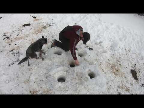 Tannerite Creek