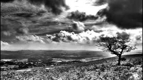 Fatalistic Journey-Uncertain future