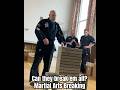 Testing Arm Martial Arts Might & Technique | Power Arm Breaking Challenge #karate #martialarts #mma