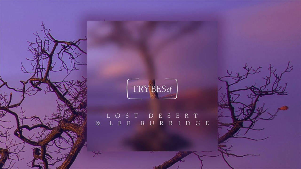 Lost Desert & Lee Burridge - Somebody Up There Likes You