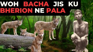 The boy who was raised by the wolves | Wo bacha jis ko bherion nay pala