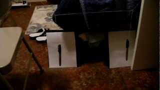 PHY315 - Coupled Pendulums