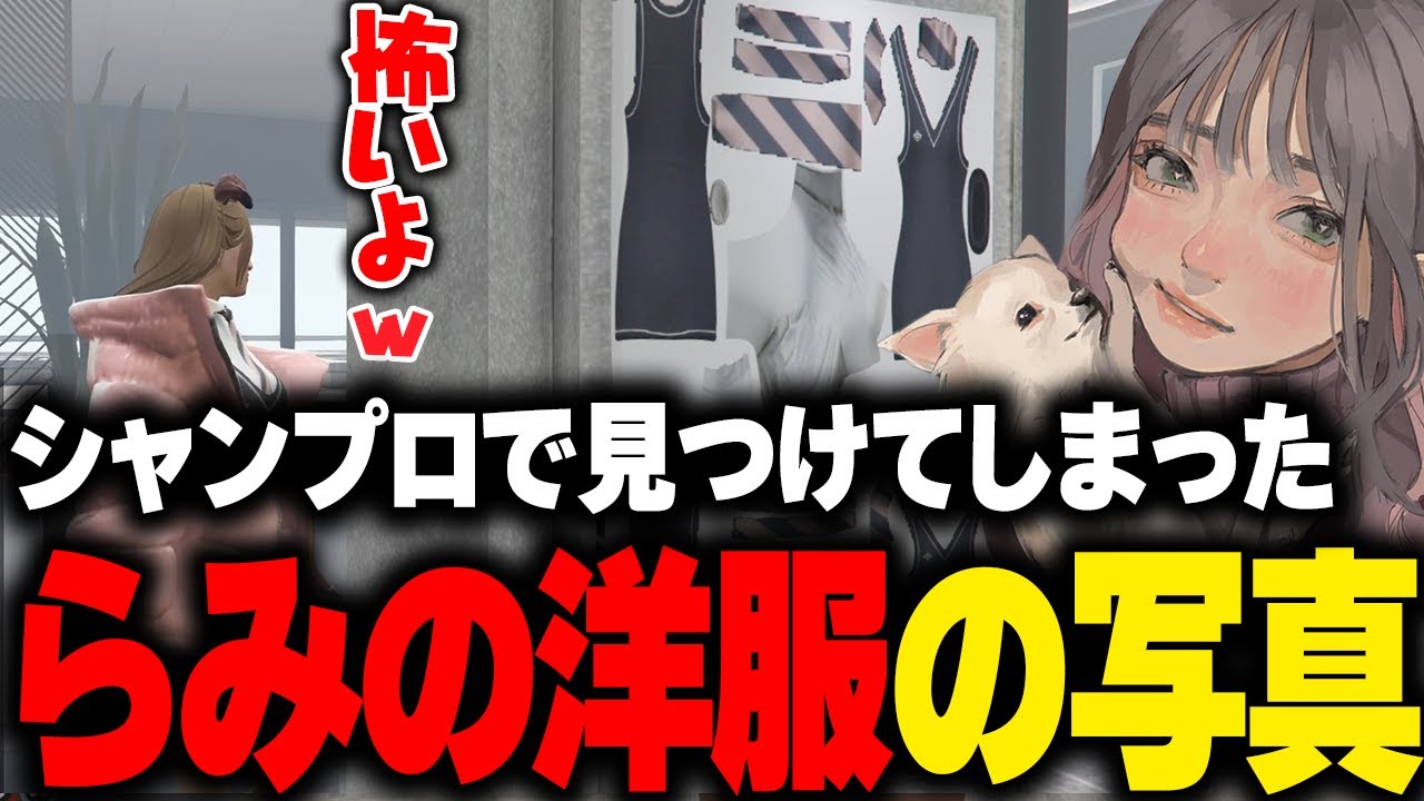 【まとめ】シャンプロを見学しに行ったらなぜか自分の洋服の写真があり恐怖を感じるこはならむwww【花芽なずな ファン太 ぶいすぽ GTA5 ストグラ切り抜き】