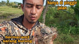 Diluar nalar_sarang burung berserakan dimana-mana