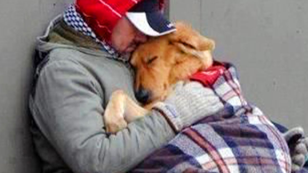 50 Heartwarming Acts Of Kindness Towards Animals That Will Make You Cry ...