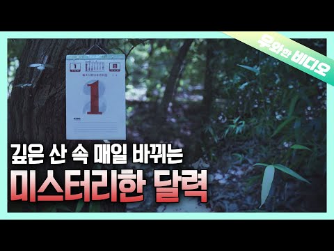 산속에서만 존재하는 특이한 달력📅┃A Unique <strong>Calendar</strong> 📅 That Exists Only in the Woods