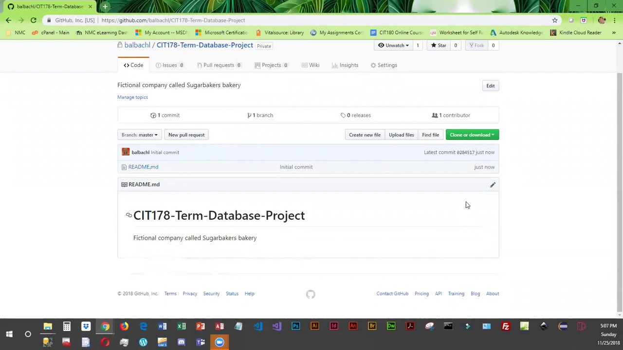 CIT178 creating a git repo for final project and committing it - YouTube