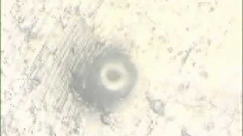 Manipulation of particles to a grid with ex situ lift out station and glue