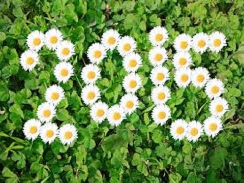 موضي الشمراني 2015 لي صاحب كنت ااحبه حفلة فرح قاعة العروس