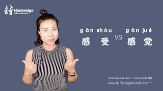 HSK Grammar for today:how to differentiate the 感受 ɡǎn shòu and 感觉 ɡǎn jué