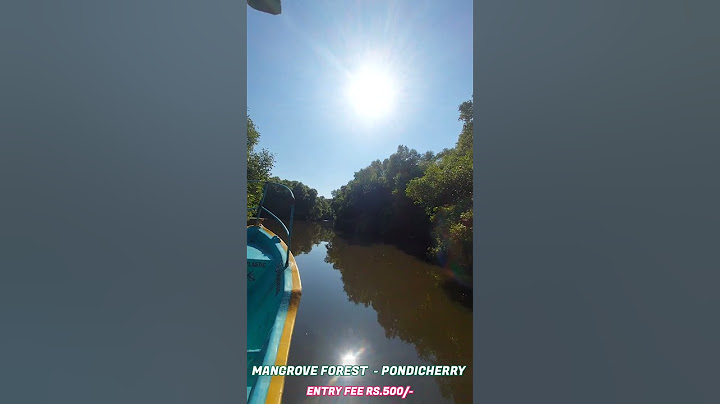 Mangrove Forest Pondy Marina Boat House Pondicherry Tourist Place @TimelyItinerary