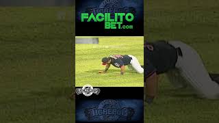 Tigres de Aragua Tiburones de La Guaira: Hoy recordamos esta gran atrapada de Jorge Cortes