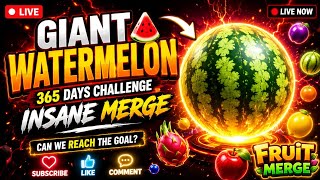 GIANT WATERMELON 🍉 | INSANE MERGE 🔥 | CAN WE REACH THE GOAL? 🎯 | LIVE NOW 🔴 screenshot 1