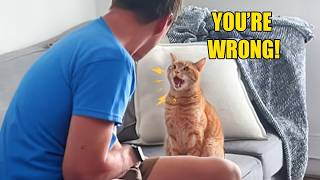 My Cat Said I Was WRONG... And Wouldn't Stop Arguing! 😂🐱