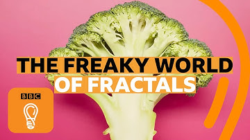 How fractals can help you understand the universe | BBC Ideas