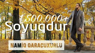 Namiq Qaraçuxurlu - Soyuqdur Resimi