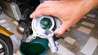 SNIPER 150 WATER PUMP ASSEMBLY REPLACEMENT