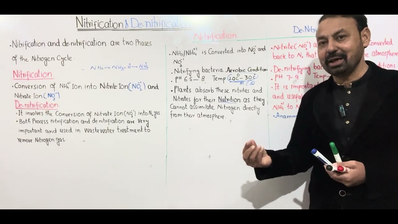 Nitrification and Denitrification.Lecture No.5|Chapter No.12|Nitrogen and Sulphur |Chemistry 11th .