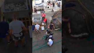 The Amazing Race 30 in Tangier Morocco Video