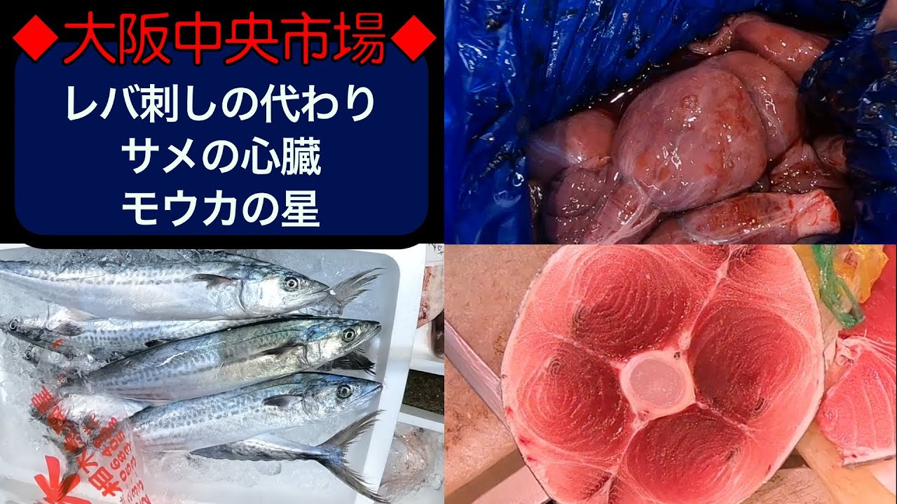 中央市場 レバ刺し代わりに鮫の心臓 美味いらしいです Youtube