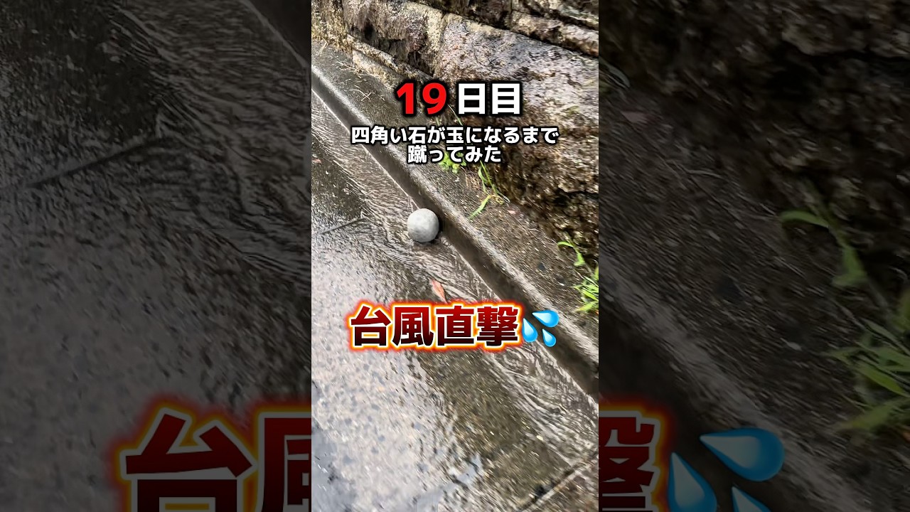 石を動画のいいね！の数だけ蹴ってみた！19日目#石蹴男#東海オンエア