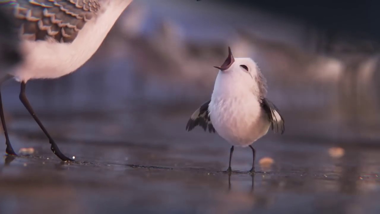 pixar piper full movie online pixar piper full movie online