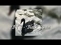 BTS Black Swan Speed Up BTS Black Swan Speed Up