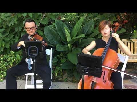 Sunset Strings Duo - Can't Help Falling In Love With You