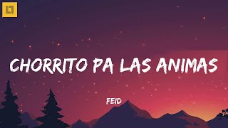 Feid - CHORRITO PA LAS ANIMAS (Letra/Lyrics)