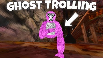 Every Gorilla Tag player has done this (Full Version)