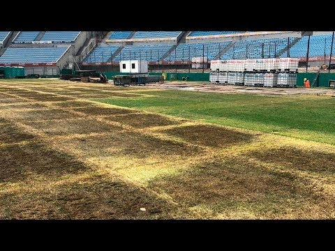 La situación de las canchas del Estadio Centenario tras el concierto de Roger Waters