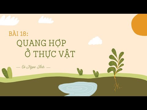 Bài 18. Quang hợp ở thực vật - KHTN 7 - sách Cánh diều - OLM.VN - youtube
