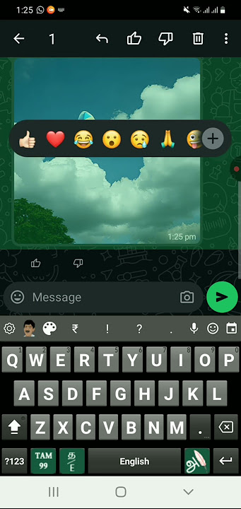 Whatsapp Ask Meta AI anyting