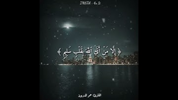 سورة النساء القارئ عمر الدريويز