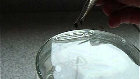 Surface tension of water:  The Floating Paperclip