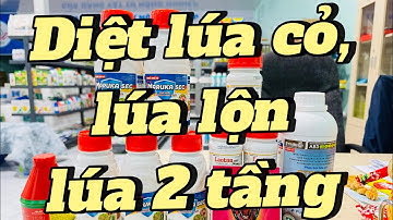 Diệt Sạch lúa cỏ, lúa 2 tầng,lúa đuôi hiệu quả,