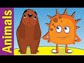 Animal Actions and Sounds Quiz