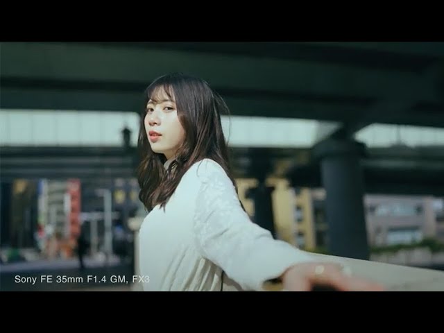 中*屋様 【公式サポートにて点検/清掃済み】FE 35mm F1.4 GM 中*屋様 【公式サポートにて点検/清掃済み】FE 35mm F1.4 GM