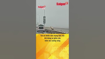 #shorts | Tài xế khiến dân mạng bức xúc khi dừng xe giữa cầu ném rác xuống sông