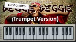 Ayra Star Ft. Ckay - Beggie Beggie ( Acoustic Trumpet Version)