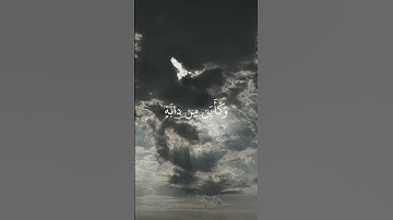 (الذين صبروا وعلى ربهم يتوكلون) سورة العنكبوت 🤍🫶🏻