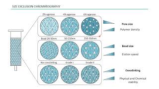 ProteiNext: Optimization of chromatographic techniques for the isolation of extracellular vesicles