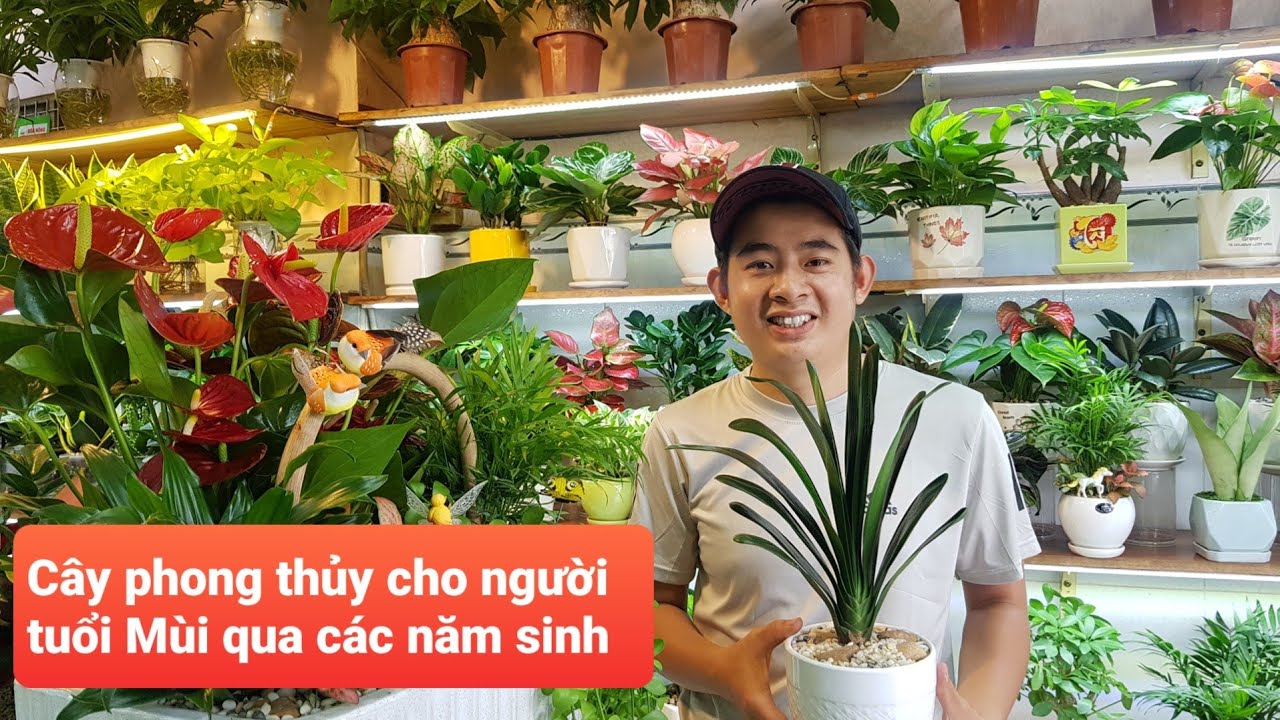 Mục Lục Nội Dung Chính