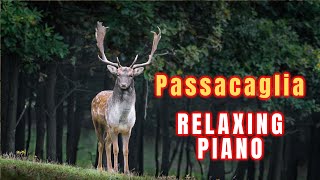 Passacaglia 1 hour version, HandelHalvorsen, beautiful piano music | relaxing music | sleep music