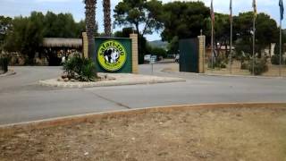 Mallorca Safari Zoo/Майорка Сафари Зоопарк в местечке Са Кома