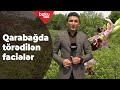 Azərbaycan əsgəri torpağımıza qənim kəsilənlərin ömrünə balta çaldı - Baku TV