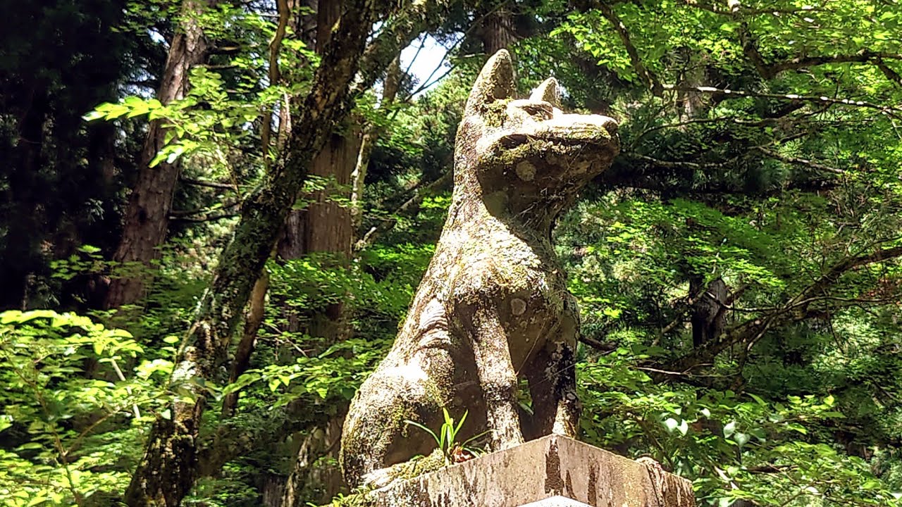 日本狼の棲館 狼紀行訪狼記 第291陣① ニホンオオカミのやかた 「霊犬あらたか！伝説の名犬早太郎の像（はやたろう）と墓所」光前寺（こう 