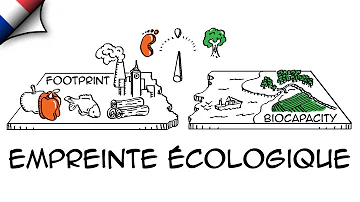 Comment améliorer l'empreinte écologique ?