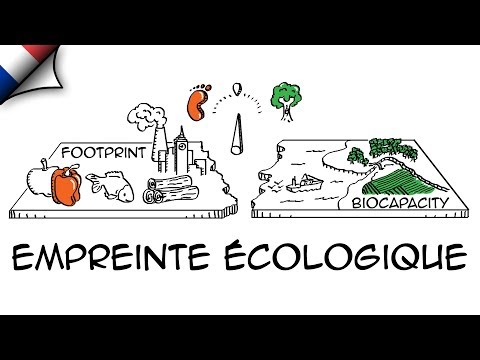 Vidéo: Comment l'empreinte écologique est-elle mesurée ?